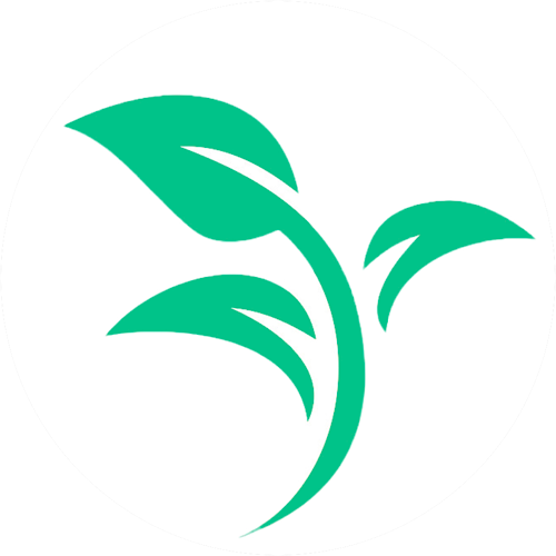 XSEED logo